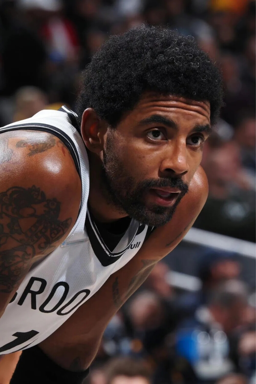 球一个重要 球一个重要