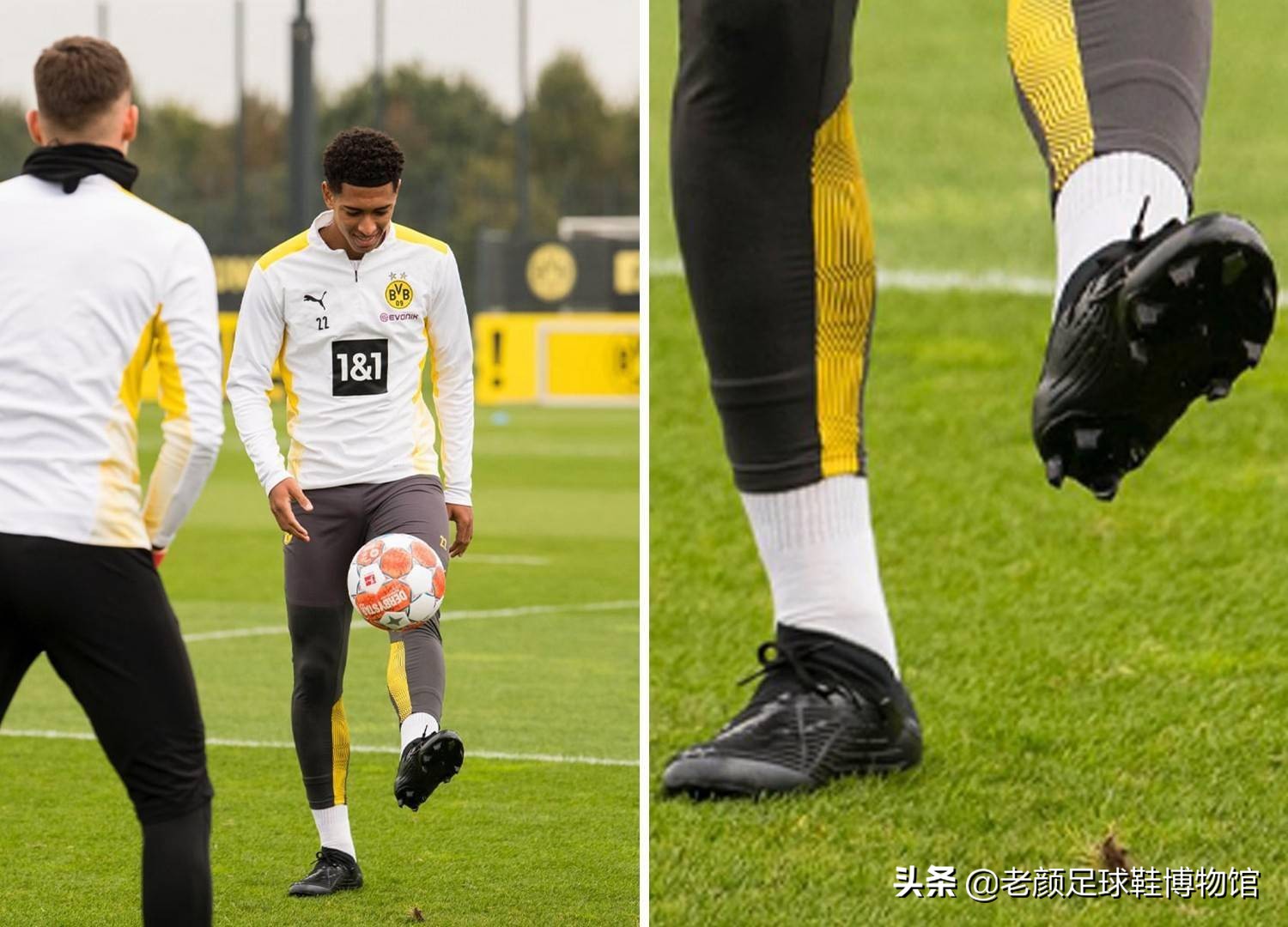 会陡然增加 会陡然增加